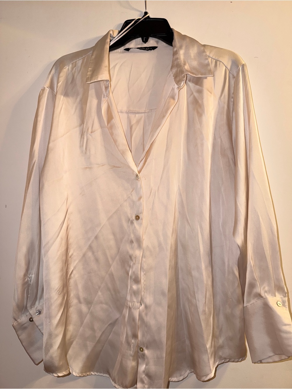Zara Satin Champagne Button-Down Blouse – Size Large